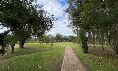 Arriendo - Espectacular casa de lujo en Sindamanoy, Chía