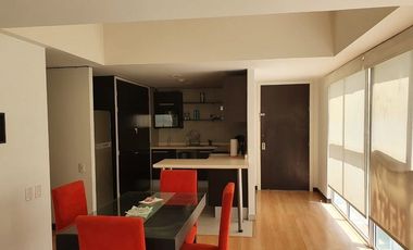 DEPARTAMENTO AMUEBLADO EN GRAND POLANCO.