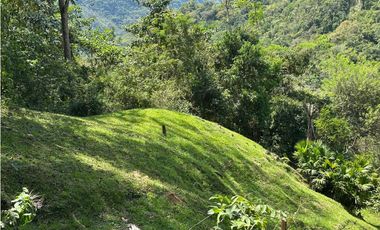 VENTA FINCA, LA SIRIA, SUROESTE ANTIOQUEÑO