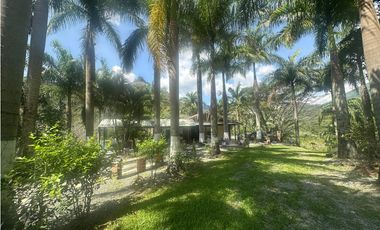 VENTA FINCA, LA SIRIA, SUROESTE ANTIOQUEÑO