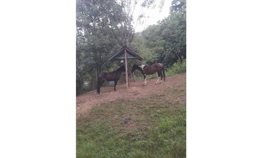 VENTA FINCA, LA SIRIA, SUROESTE ANTIOQUEÑO