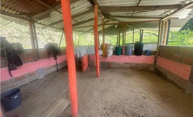 VENTA FINCA, LA SIRIA, SUROESTE ANTIOQUEÑO