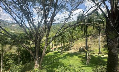 VENTA FINCA, LA SIRIA, SUROESTE ANTIOQUEÑO