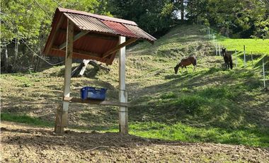 VENTA FINCA, LA SIRIA, SUROESTE ANTIOQUEÑO