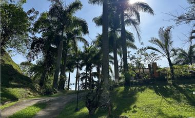 VENTA FINCA, LA SIRIA, SUROESTE ANTIOQUEÑO