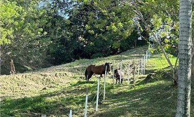 VENTA FINCA, LA SIRIA, SUROESTE ANTIOQUEÑO