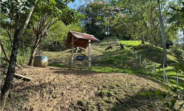 VENTA FINCA, LA SIRIA, SUROESTE ANTIOQUEÑO