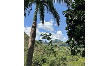 VENTA FINCA, LA SIRIA, SUROESTE ANTIOQUEÑO