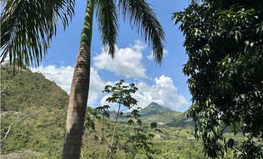 VENTA FINCA, LA SIRIA, SUROESTE ANTIOQUEÑO