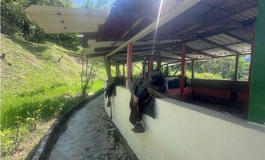VENTA FINCA, LA SIRIA, SUROESTE ANTIOQUEÑO