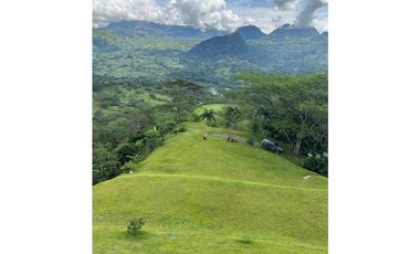 VENTA FINCA, LA SIRA  SUROESTE ANTIOQUEÑO