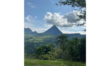 VENTA FINCA, LA SIRA  SUROESTE ANTIOQUEÑO