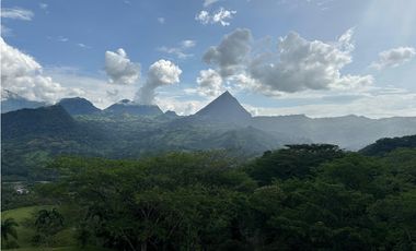 VENTA FINCA, LA SIRA  SUROESTE ANTIOQUEÑO
