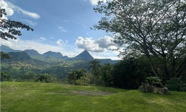 VENTA FINCA, LA SIRA  SUROESTE ANTIOQUEÑO
