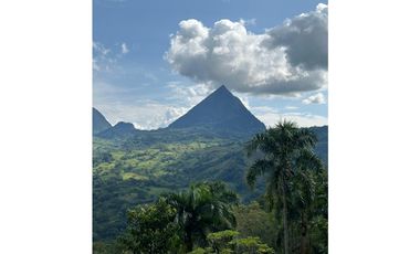 VENTA FINCA, LA SIRA  SUROESTE ANTIOQUEÑO