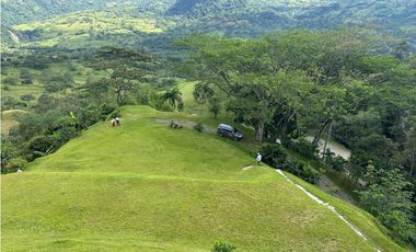 VENTA FINCA, LA SIRA  SUROESTE ANTIOQUEÑO