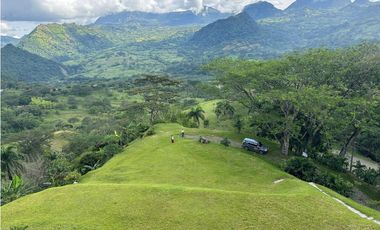 VENTA FINCA, LA SIRA  SUROESTE ANTIOQUEÑO