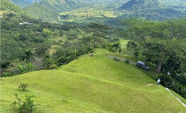VENTA FINCA, LA SIRA  SUROESTE ANTIOQUEÑO