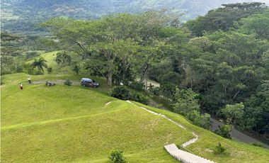 VENTA FINCA, LA SIRA  SUROESTE ANTIOQUEÑO