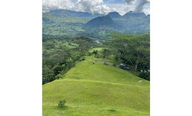 VENTA FINCA, LA SIRA  SUROESTE ANTIOQUEÑO