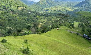 VENTA FINCA, LA SIRA  SUROESTE ANTIOQUEÑO