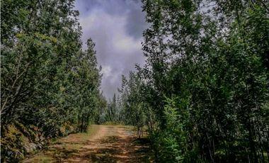 Finca en Venta Sesquile