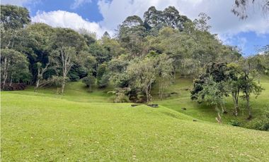 Vendo hermosa casa campestre en el Alto de las palmas