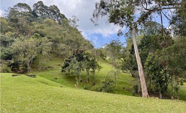 Vendo hermosa casa campestre en el Alto de las palmas