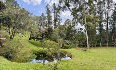 Vendo hermosa casa campestre en el Alto de las palmas