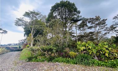 Casa independiente para arrendar – Alto de Palmas | El Chuscal