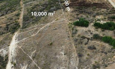 Hectárea en San Felipe