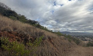 Hectárea en San Felipe