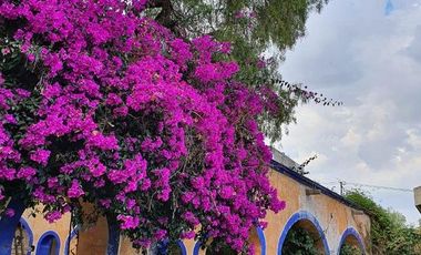 Casa en Renta, Santa María Tepepan