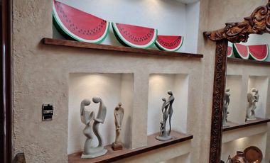 Casa en Renta, Santa María Tepepan