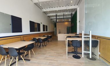 Renta de local comercial en Zakia en Sabino 51