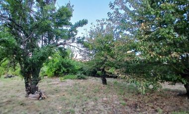Parcela en Quillón de 7,300 M2