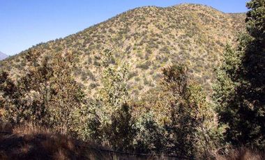 Parcela en venta en SAN JOSÉ DE MAIPO