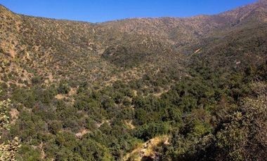 Parcela en venta en SAN JOSÉ DE MAIPO