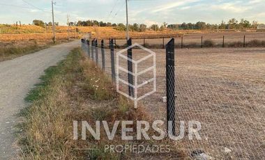 Casa en arriendo  en RÍO BUENO