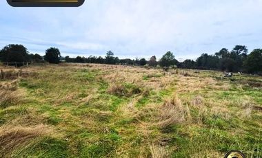 Local comercial en arriendo en PUERTO VARAS