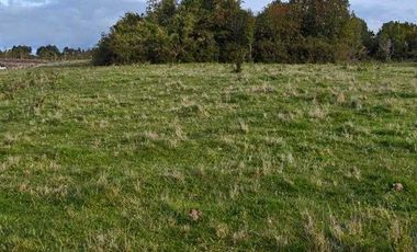 Parcela en venta en MAULLÍN