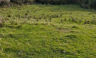 Parcela en venta en MAULLÍN