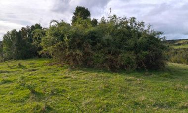 Parcela en venta en MAULLÍN