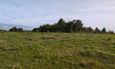 Parcela en venta en MAULLÍN