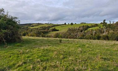 Parcela en venta en MAULLÍN