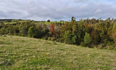 Parcela en venta en MAULLÍN