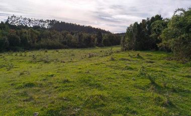 Parcela en venta en MAULLÍN