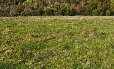 Parcela en venta en MAULLÍN