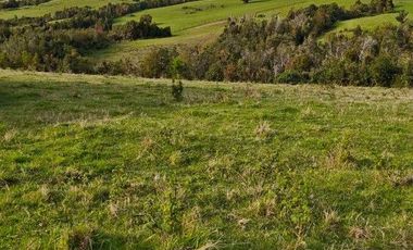 Parcela en venta en MAULLÍN