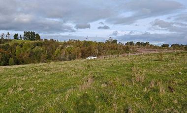 Parcela en venta en MAULLÍN